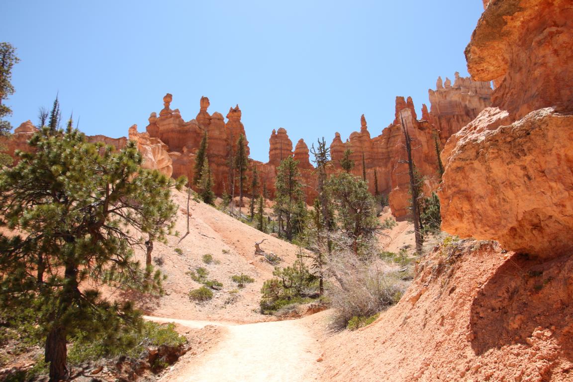 Bild "USA 2016:Bryce_Canyon_Cat.JPG"