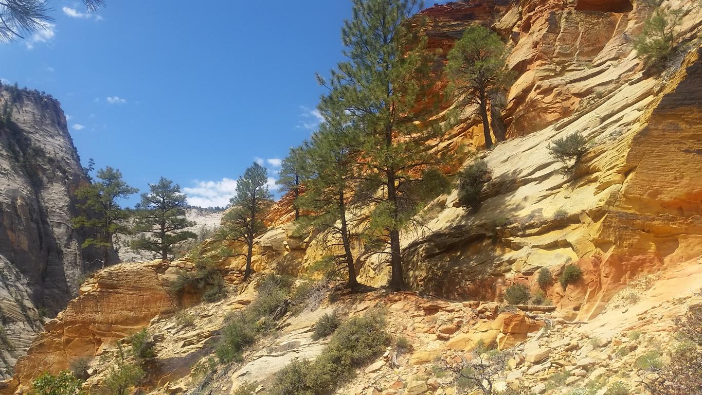 Bild "USA 2016:Farbe_Bergflanke.JPG"