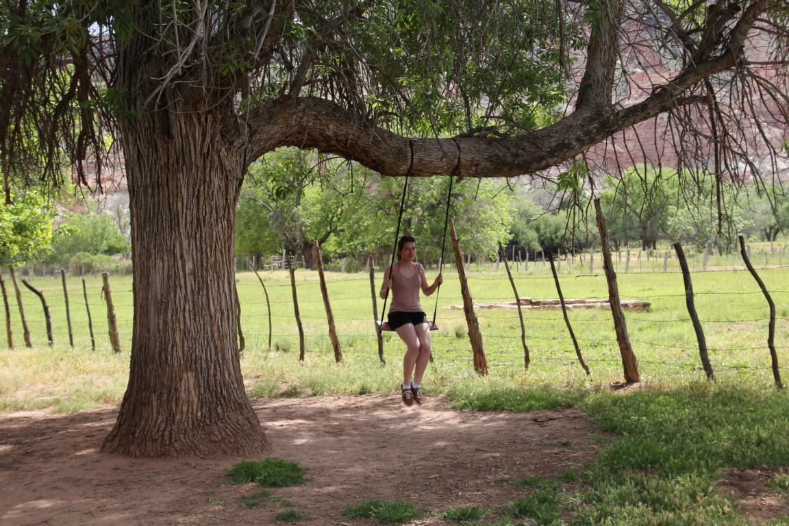 Bild "USA 2016:Grafton_Schaukel.JPG"