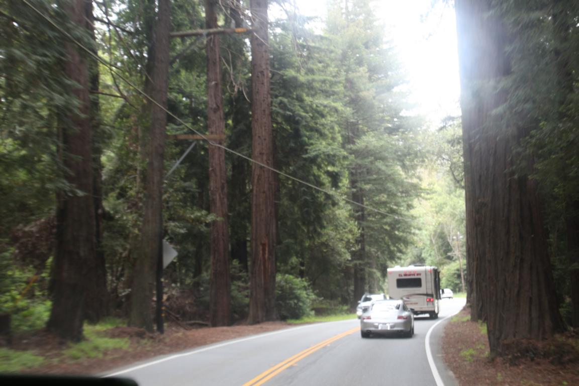 Bild "USA 2016:IMG_2547.JPG"