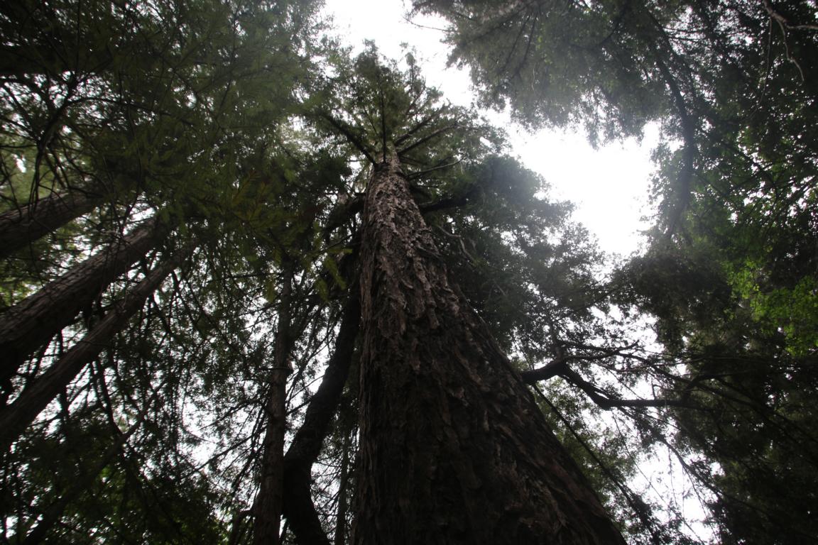 Bild "USA 2016:IMG_2552.JPG"