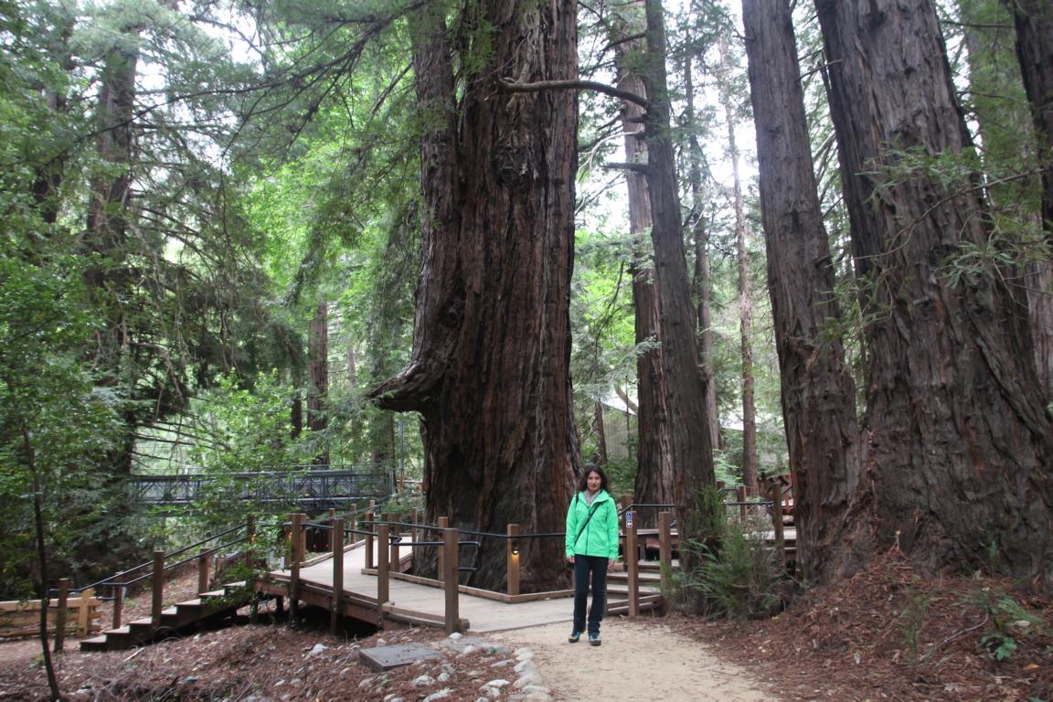 Bild "USA 2016:IMG_2553.JPG"