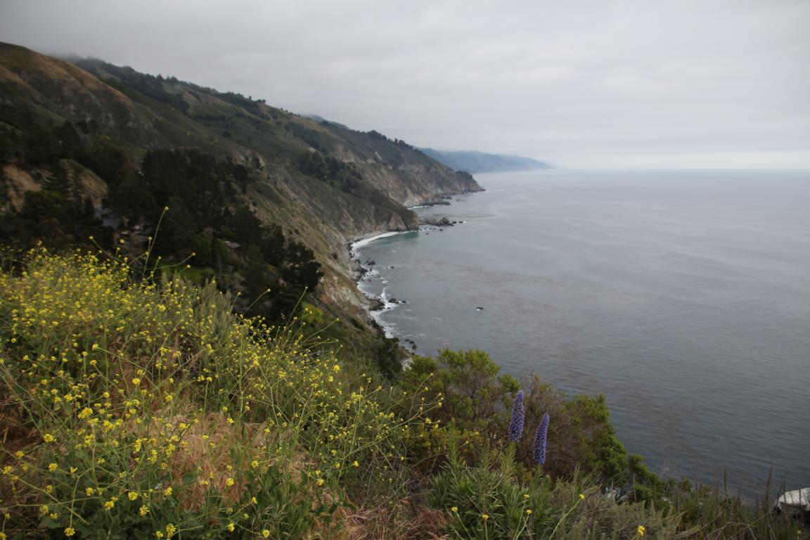 Bild "USA 2016:IMG_2596.JPG"