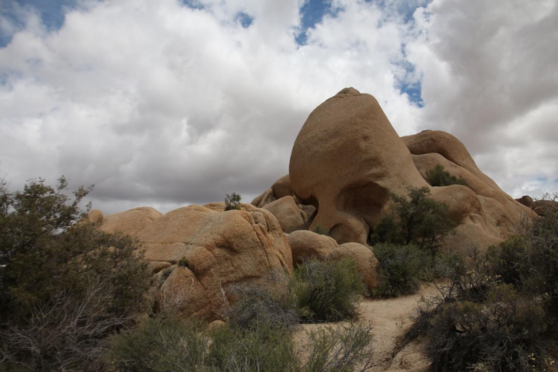 Bild "USA 2016:IMG_2816.JPG"