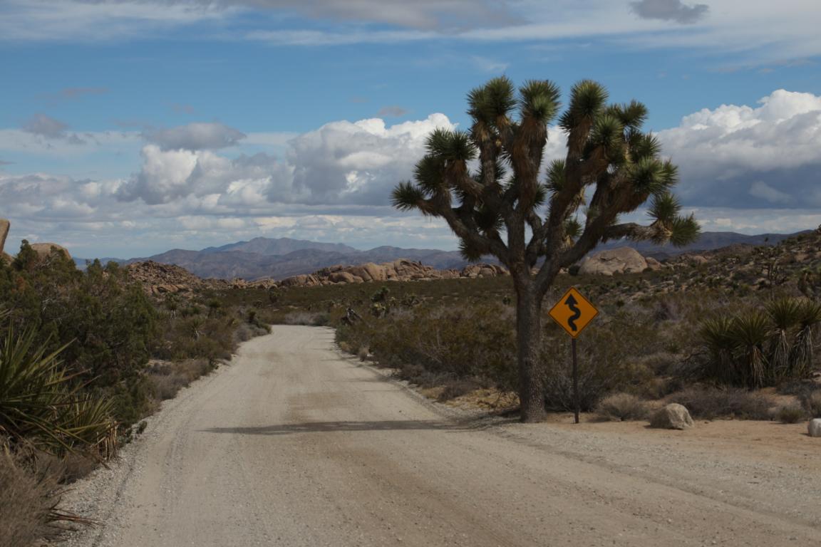 Bild "USA 2016:IMG_2888.JPG"