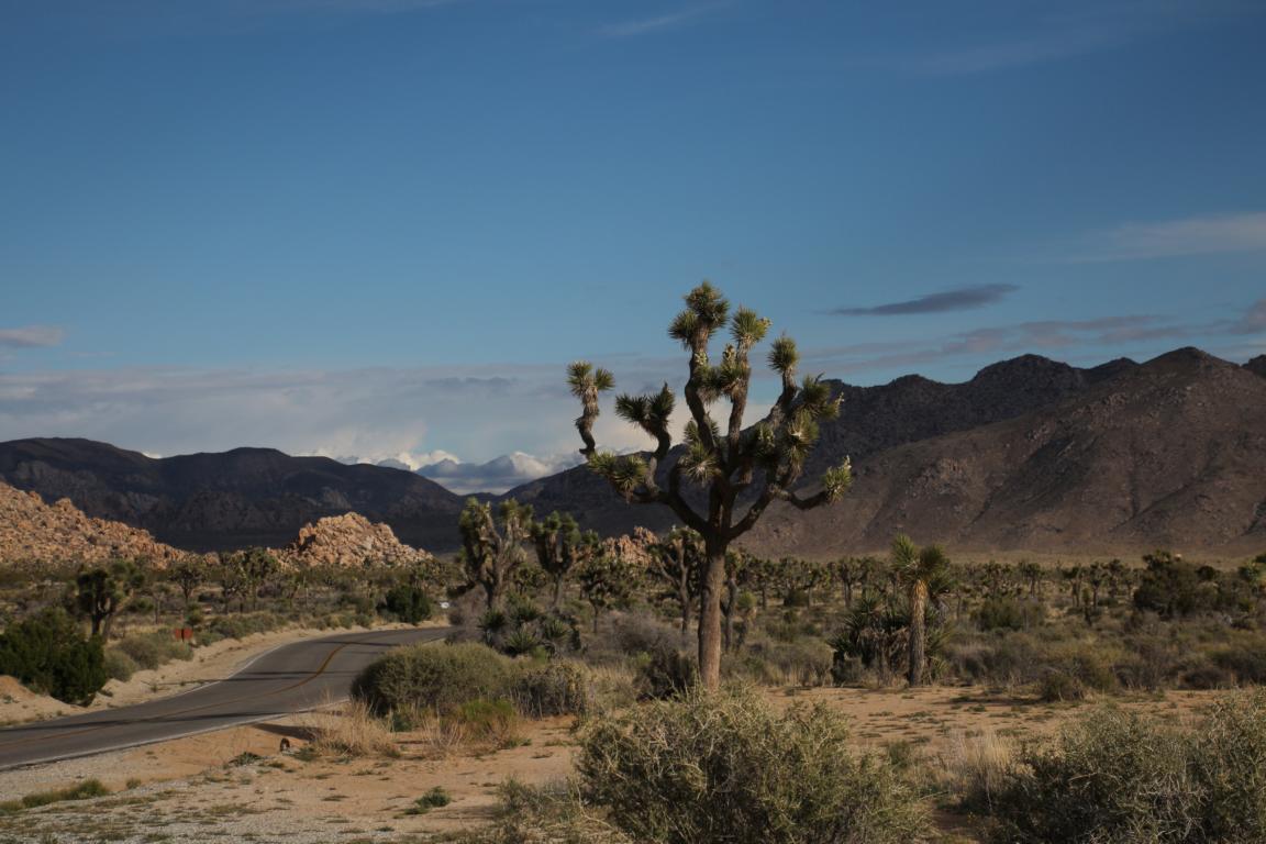 Bild "USA 2016:IMG_2923.JPG"