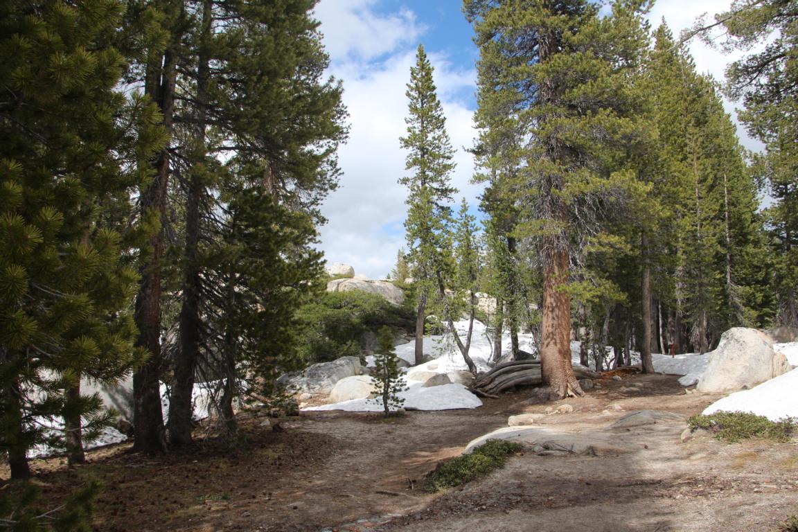 Bild "USA 2016:Toulumne_Meadows_Landschaft_1.JPG"