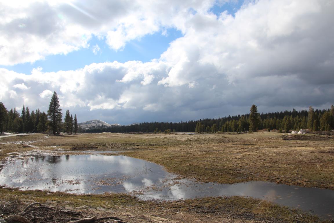 Bild "USA 2016:Toulumne_Meadows_Landschaft_2.JPG"