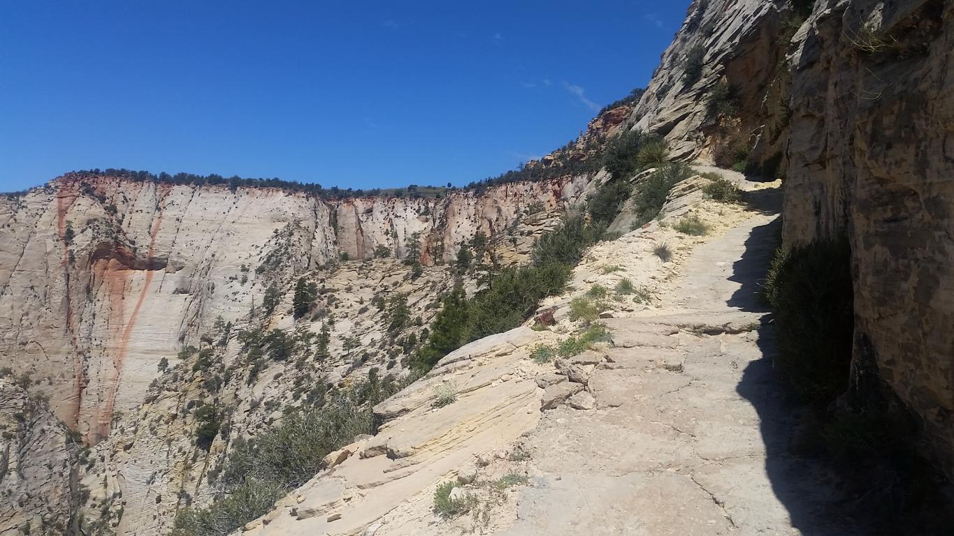 Bild "USA 2016:Weg_Bergflanke.JPG"