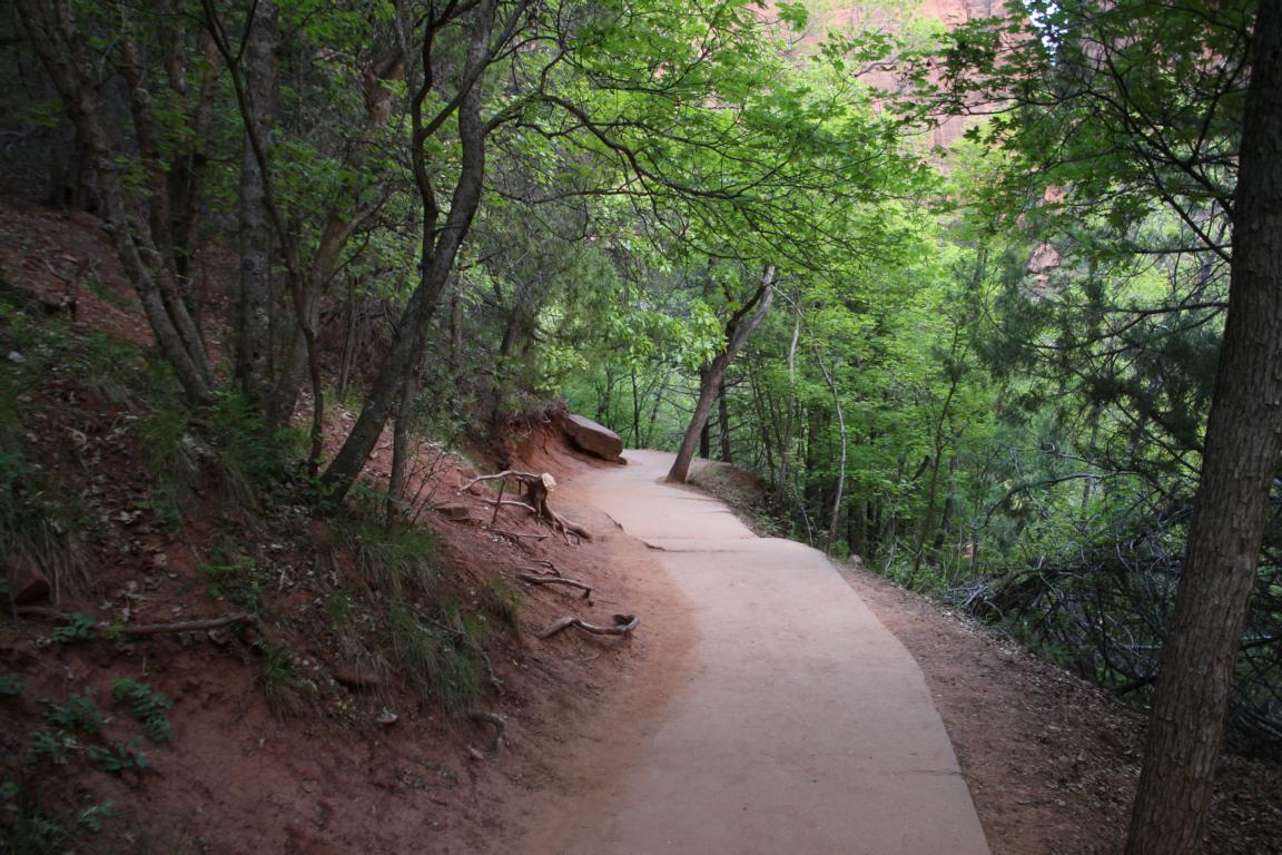 Bild "USA 2016:Zion_2.JPG"