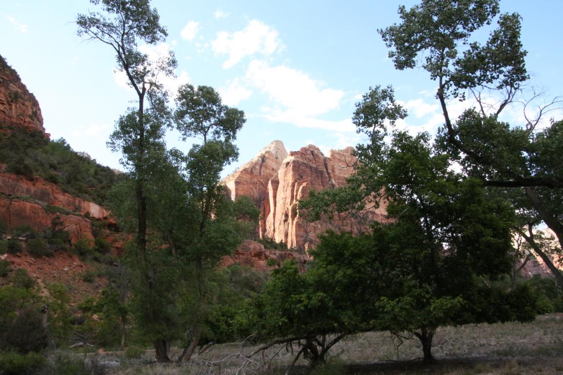 Bild "USA 2016:Zion_4.JPG"